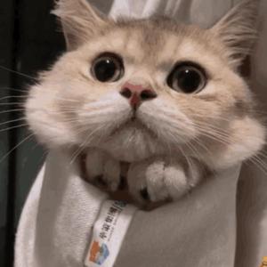 性教育片《真人示范》
